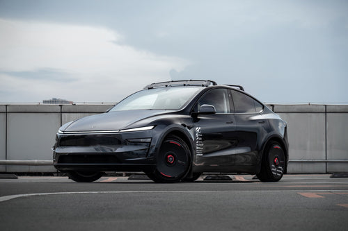 Halodisc 2 Custom 19" - Juniper ve Legacy uyumlu